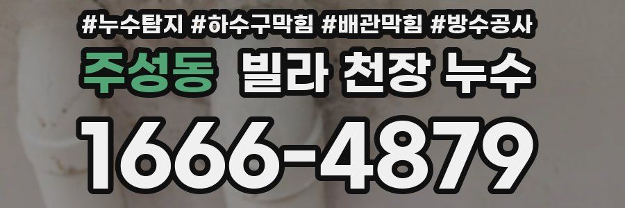 주성동 빌라 천장 누수