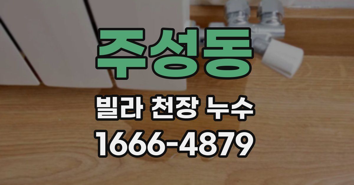 주성동 빌라 천장 누수