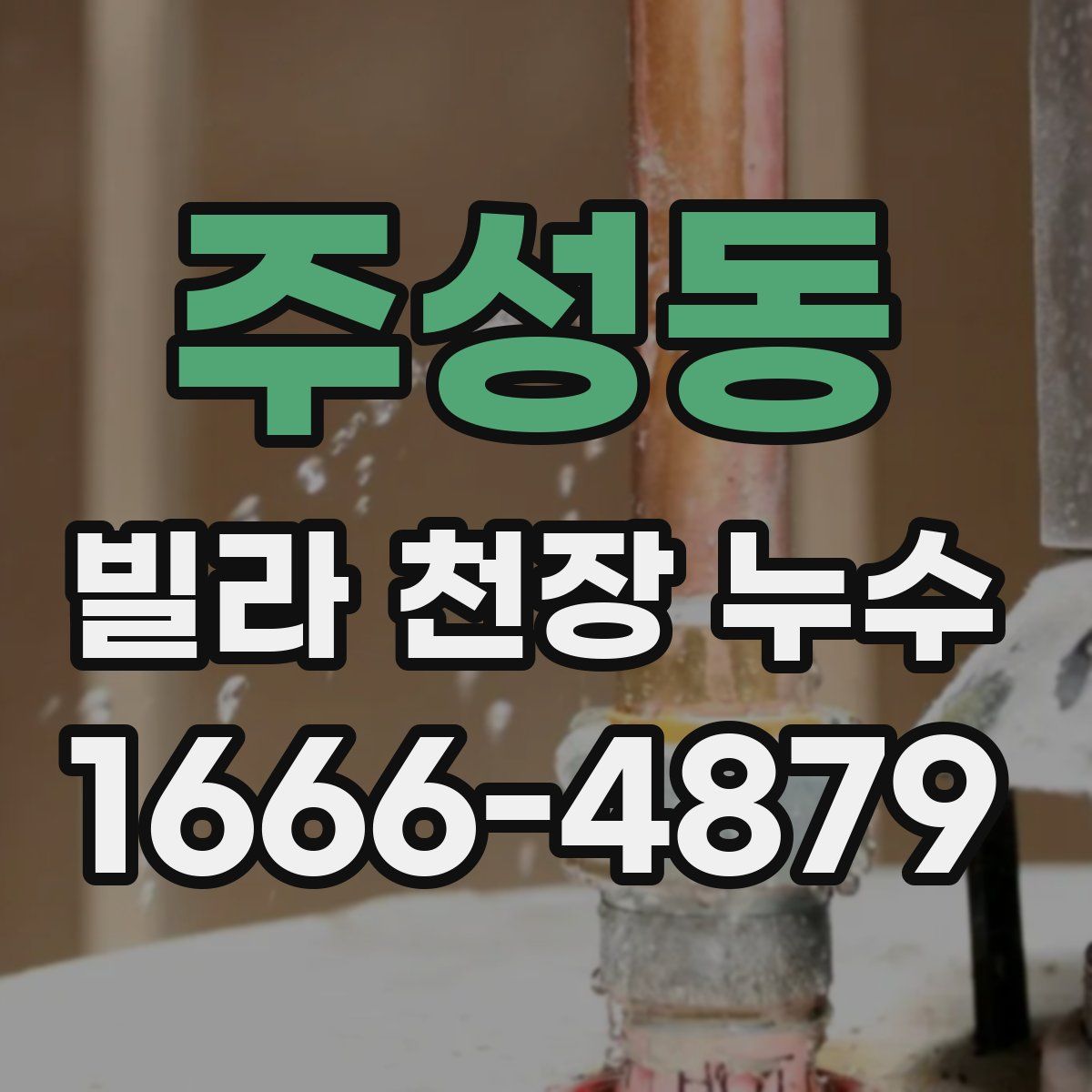 주성동 빌라 천장 누수