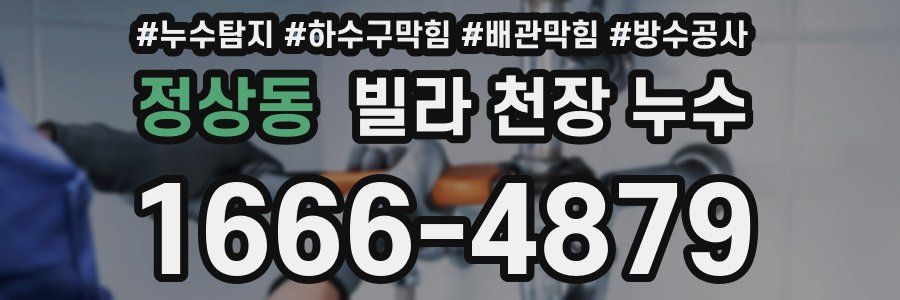 정상동 빌라 천장 누수