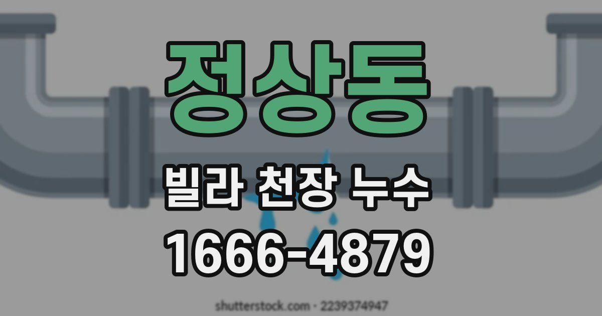 정상동 빌라 천장 누수