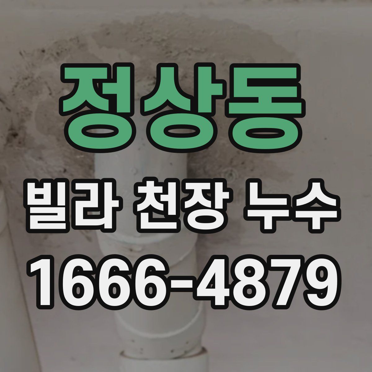 정상동 빌라 천장 누수