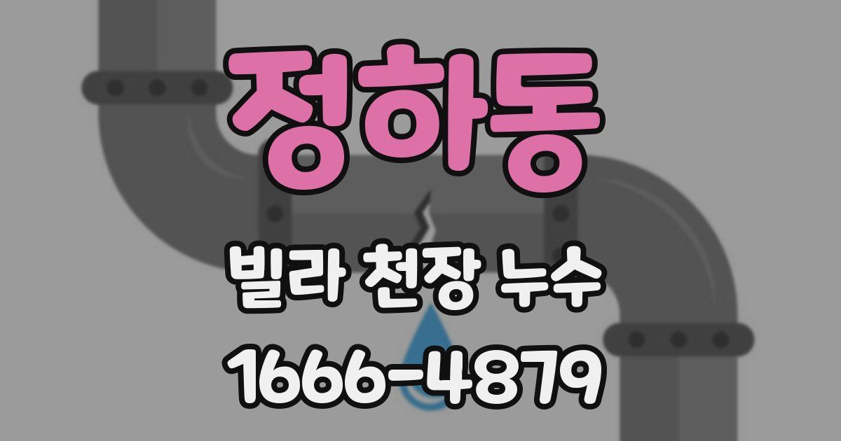 정하동 빌라 천장 누수