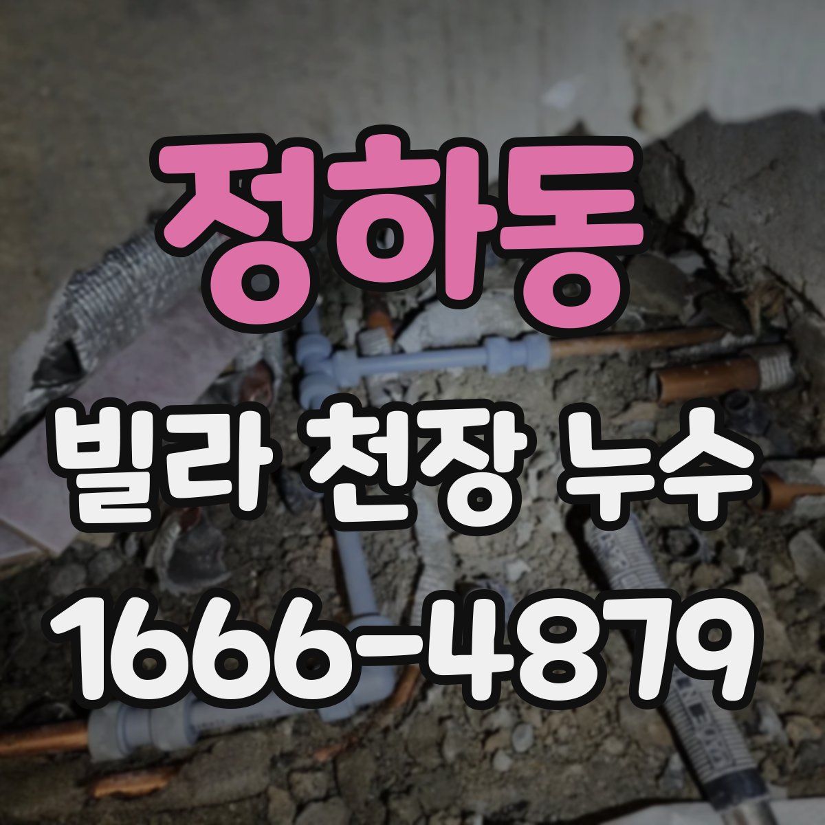 정하동 빌라 천장 누수