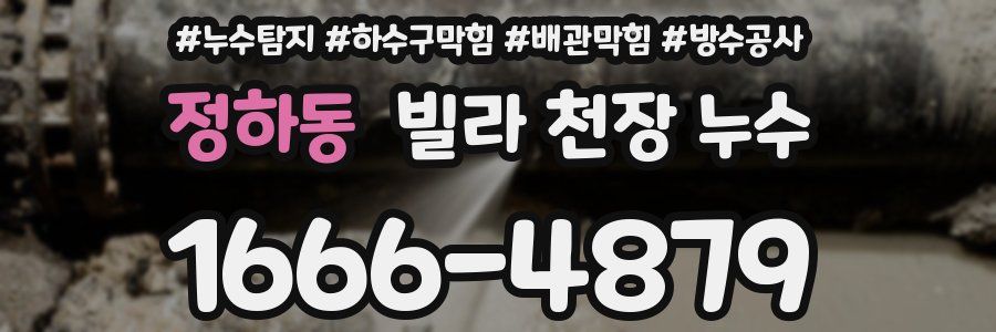 정하동 빌라 천장 누수