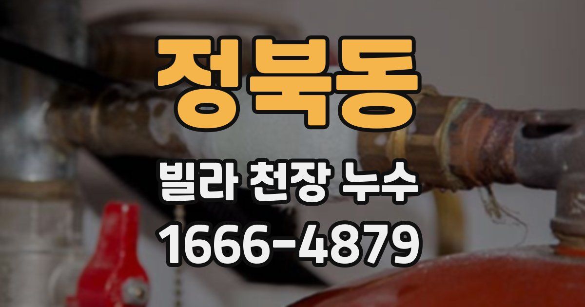 정북동 빌라 천장 누수