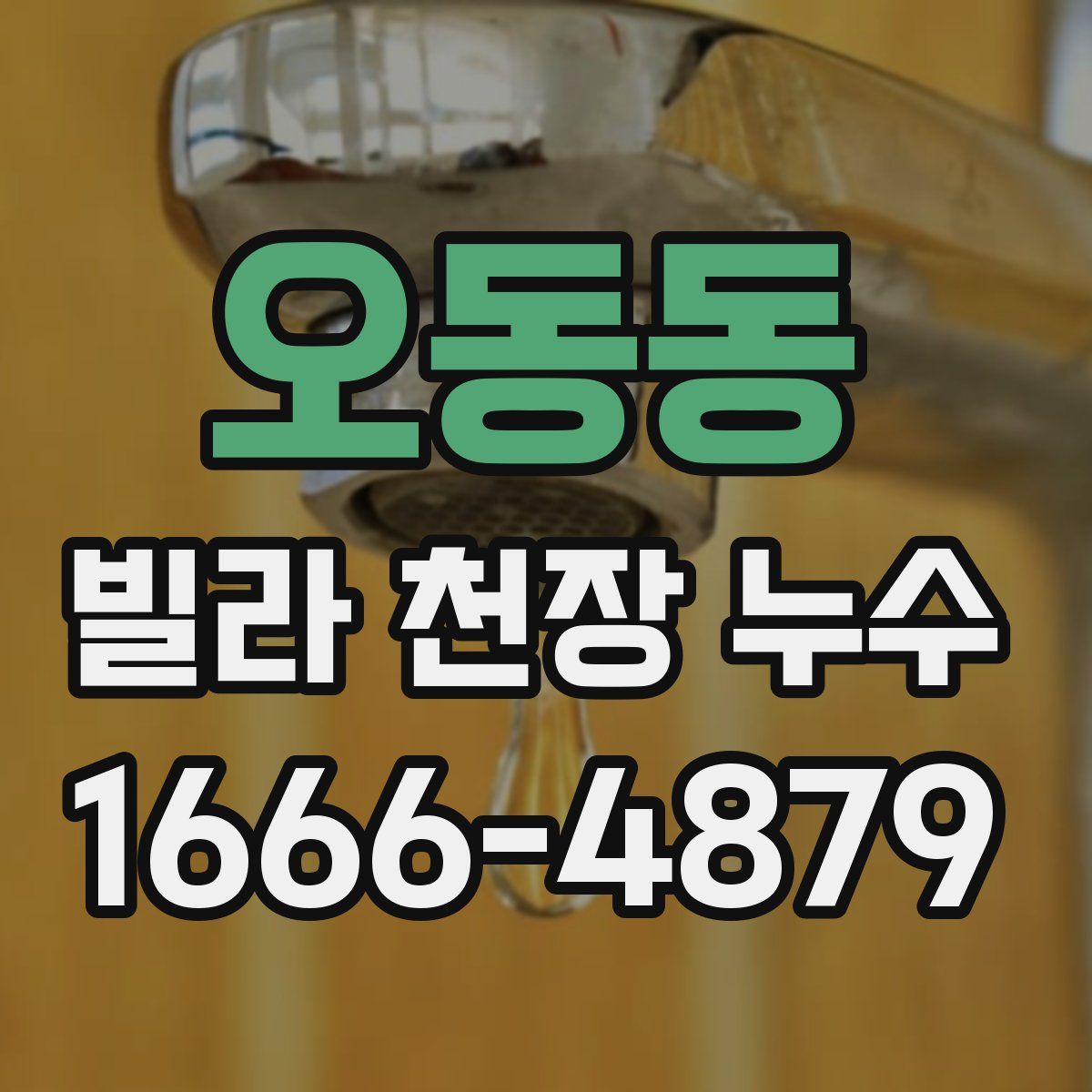 오동동 빌라 천장 누수