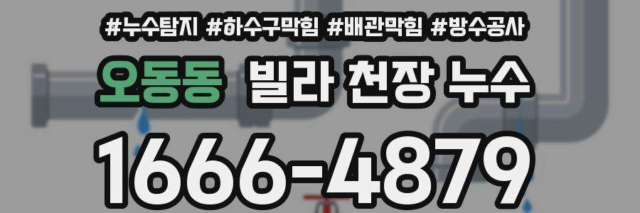 오동동 빌라 천장 누수