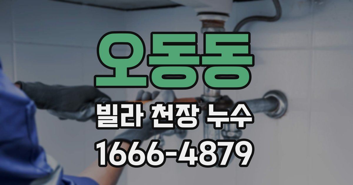 오동동 빌라 천장 누수