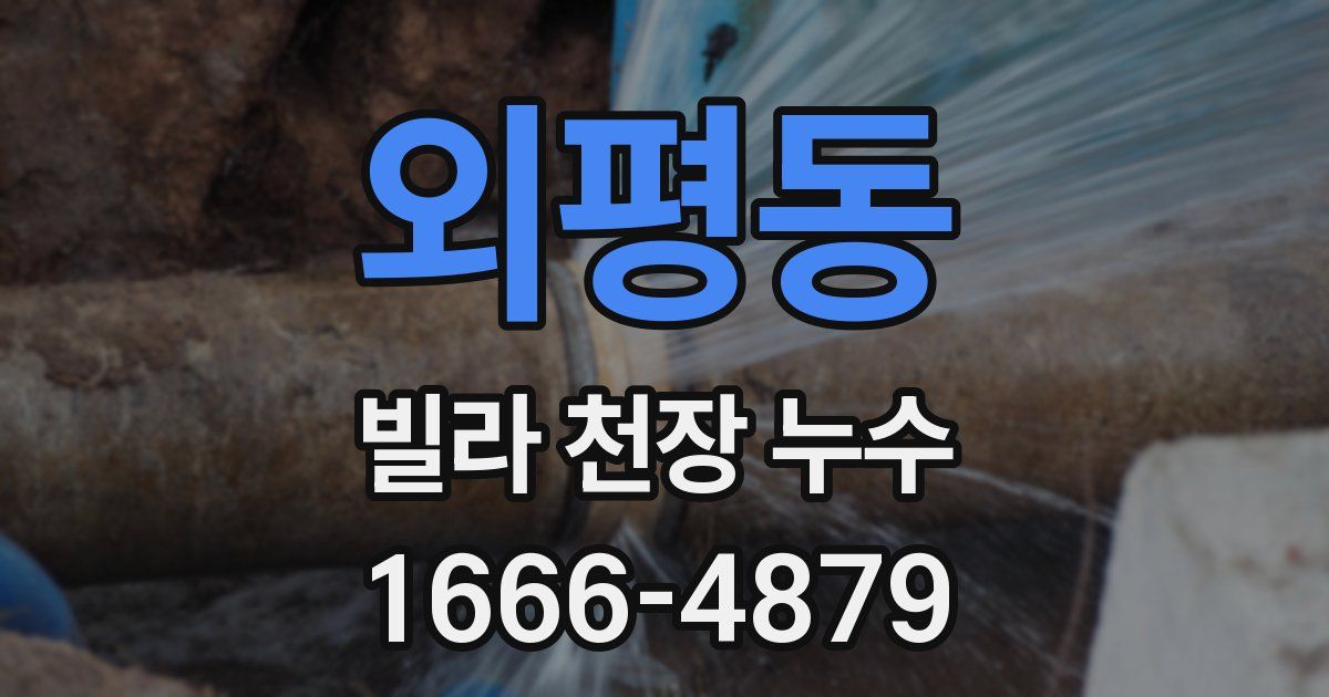 외평동 빌라 천장 누수