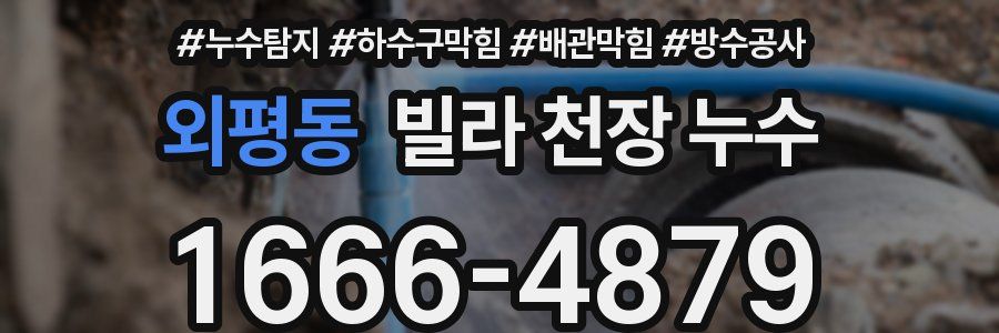 외평동 빌라 천장 누수