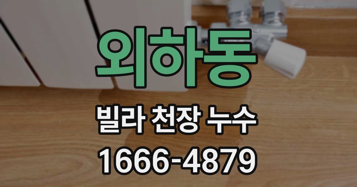 외하동 빌라 천장 누수