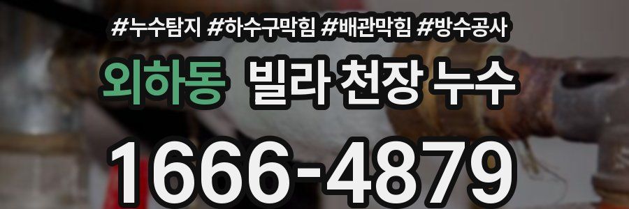 외하동 빌라 천장 누수