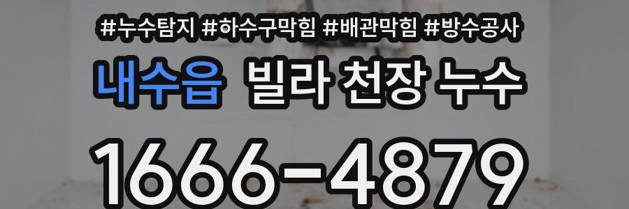 내수읍 빌라 천장 누수