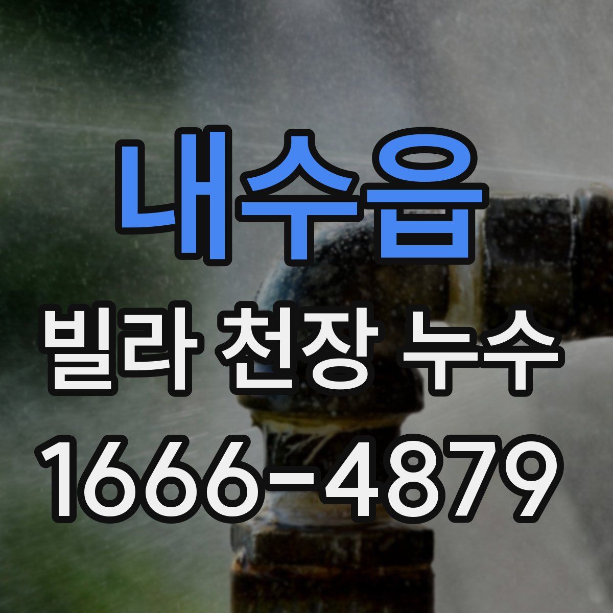 내수읍 빌라 천장 누수