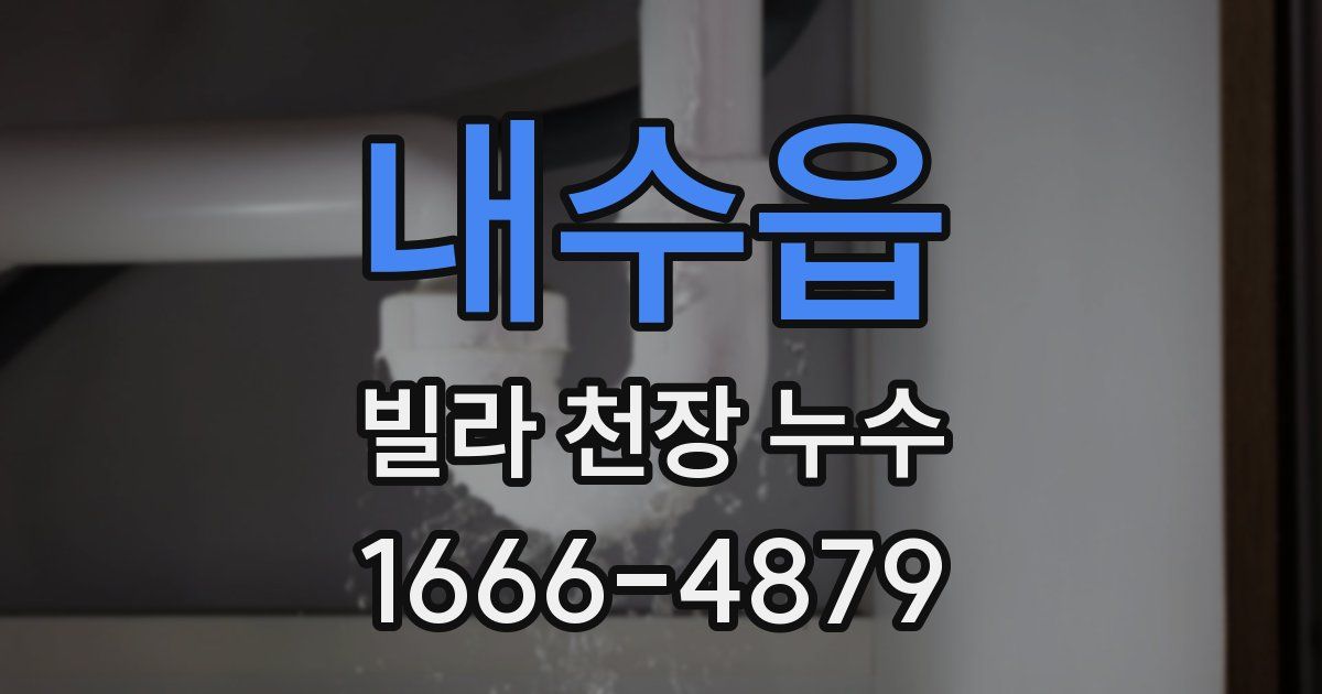 내수읍 빌라 천장 누수
