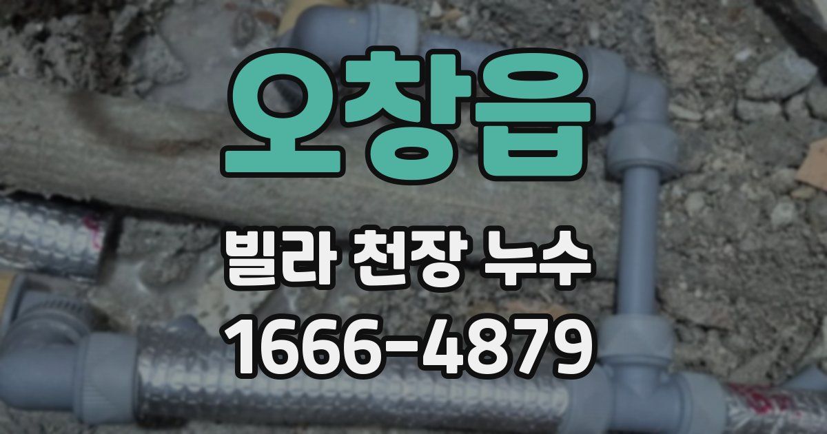 오창읍 빌라 천장 누수