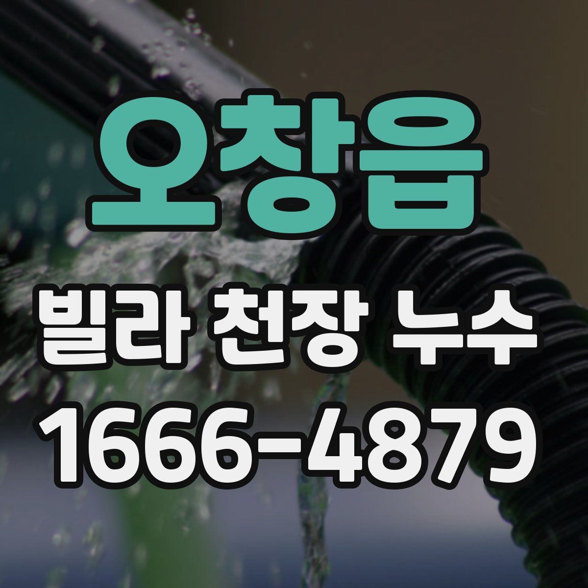오창읍 빌라 천장 누수