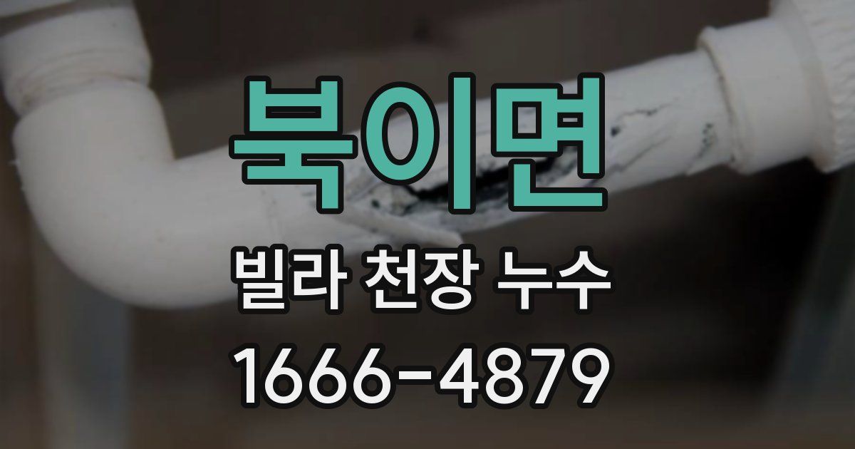 북이면 빌라 천장 누수
