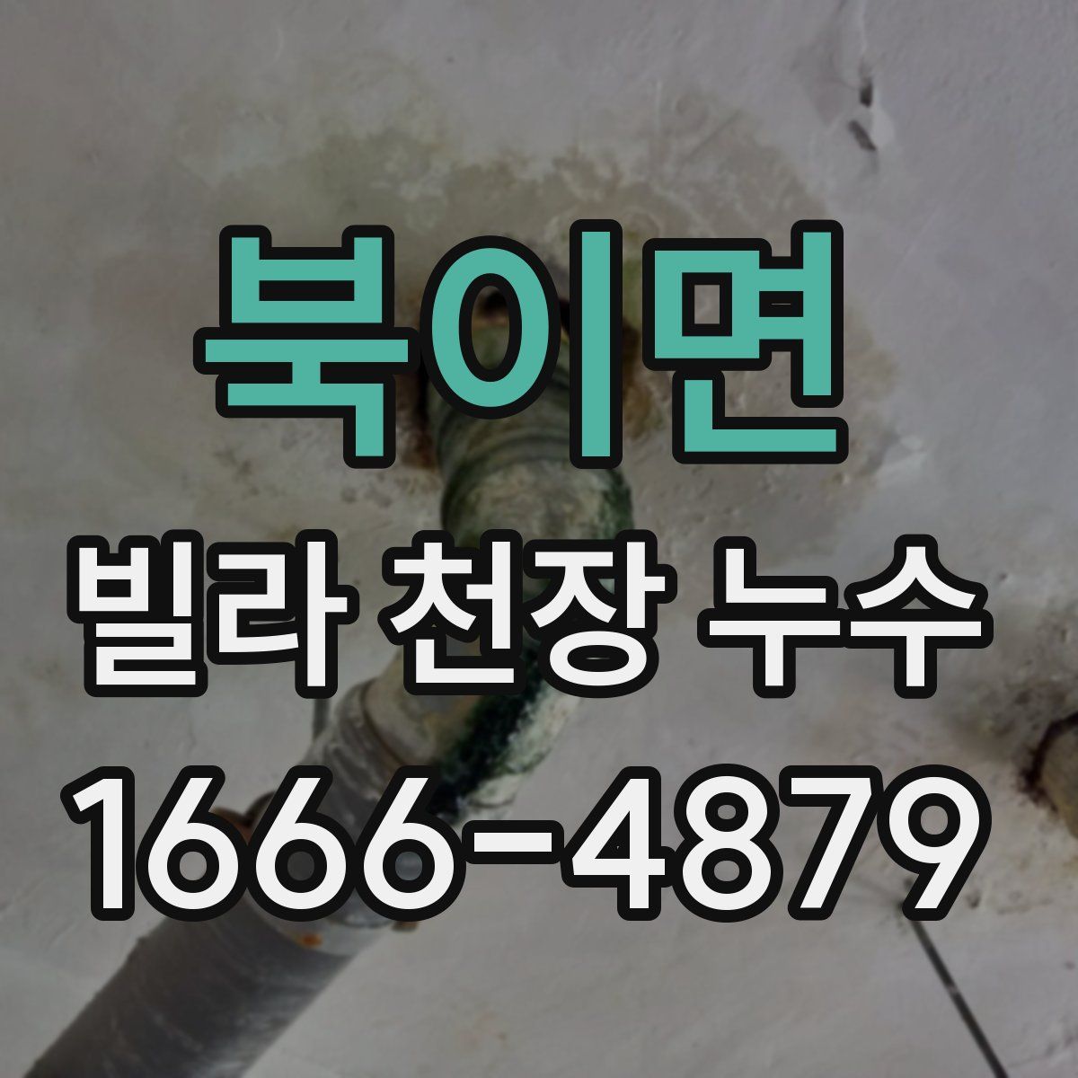 북이면 빌라 천장 누수