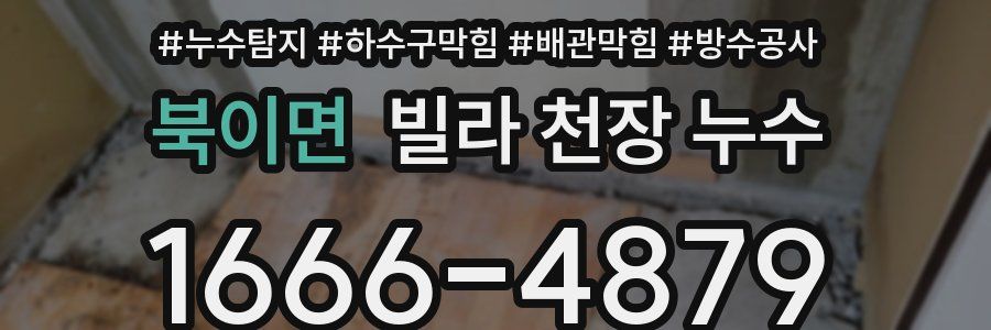 북이면 빌라 천장 누수