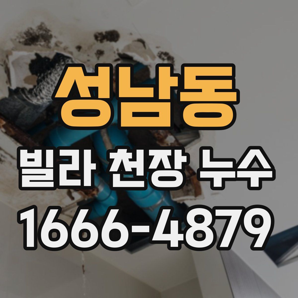 성남동 빌라 천장 누수