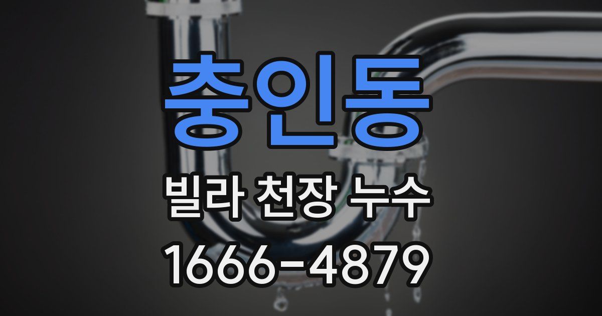 충인동 빌라 천장 누수