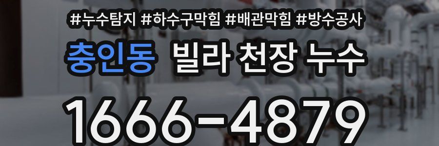 충인동 빌라 천장 누수