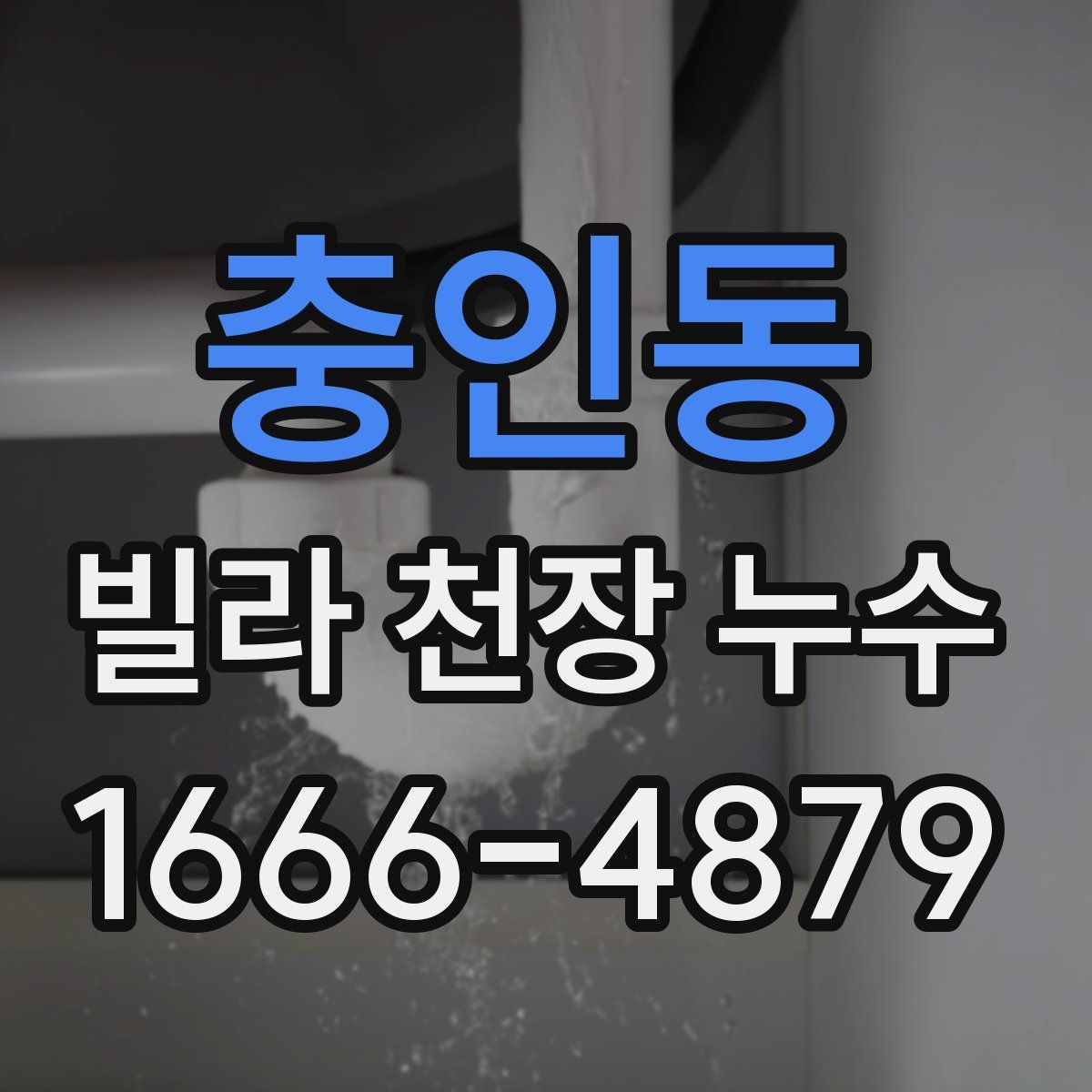 충인동 빌라 천장 누수