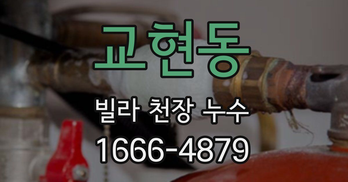 교현동 빌라 천장 누수