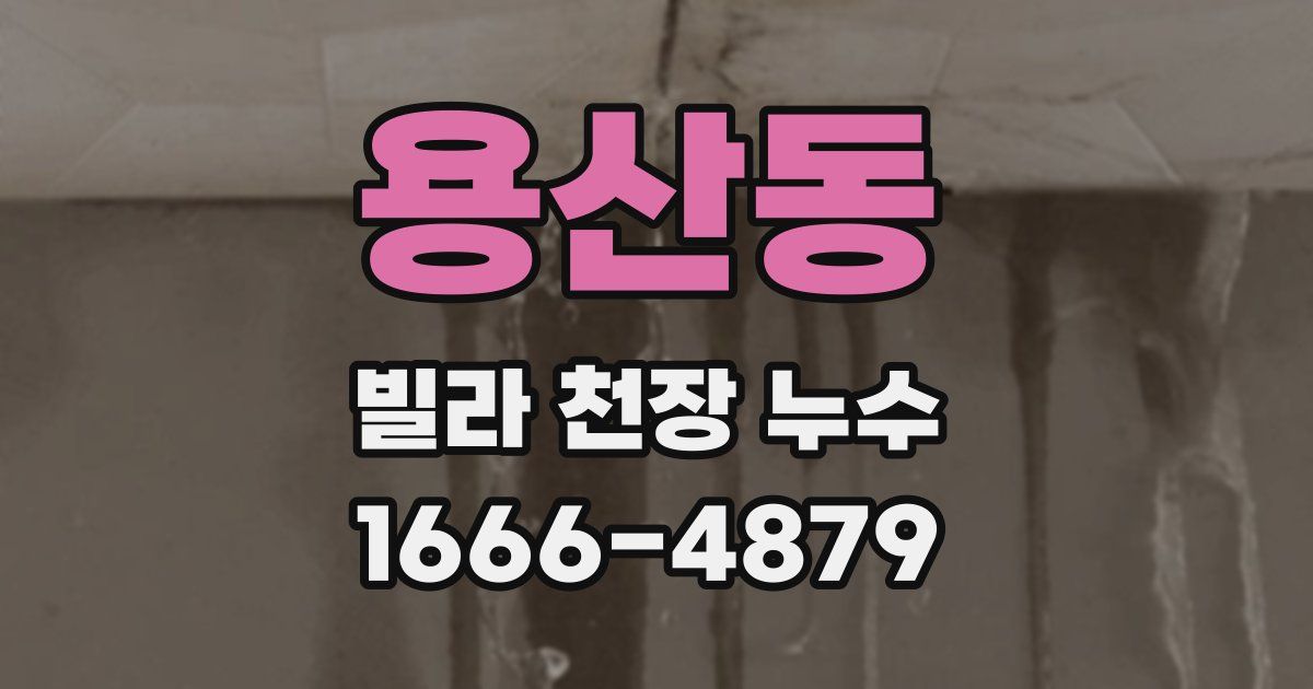 용산동 빌라 천장 누수