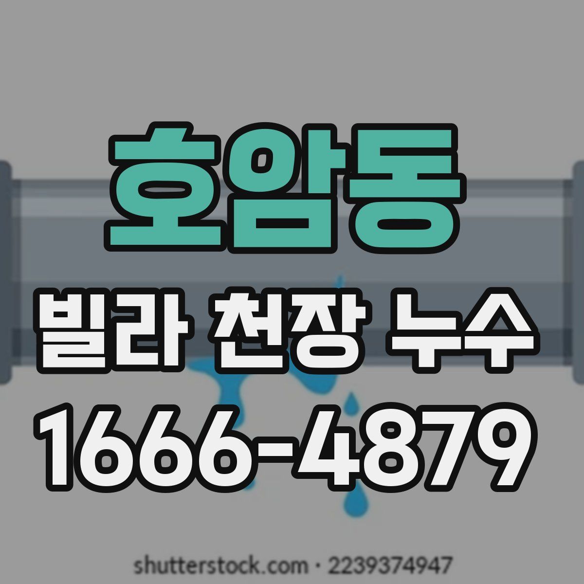 호암동 빌라 천장 누수