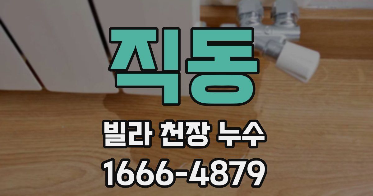 직동 빌라 천장 누수