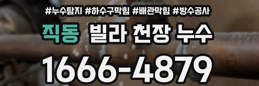 직동 빌라 천장 누수