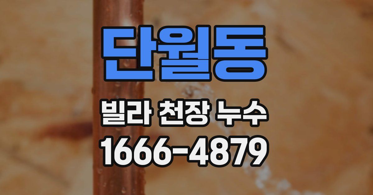 단월동 빌라 천장 누수