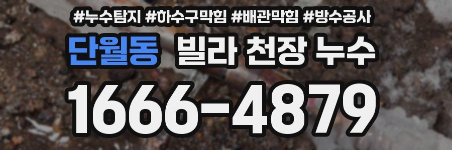 단월동 빌라 천장 누수