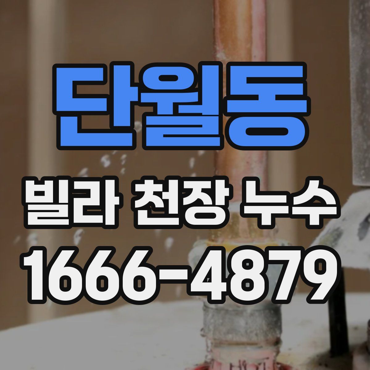 단월동 빌라 천장 누수