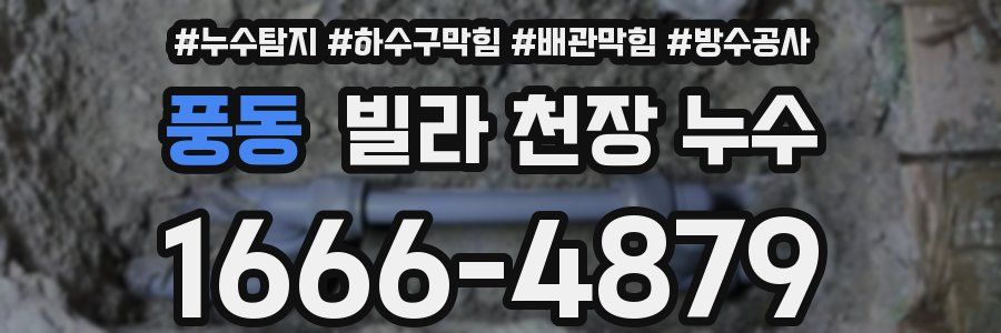 풍동 빌라 천장 누수
