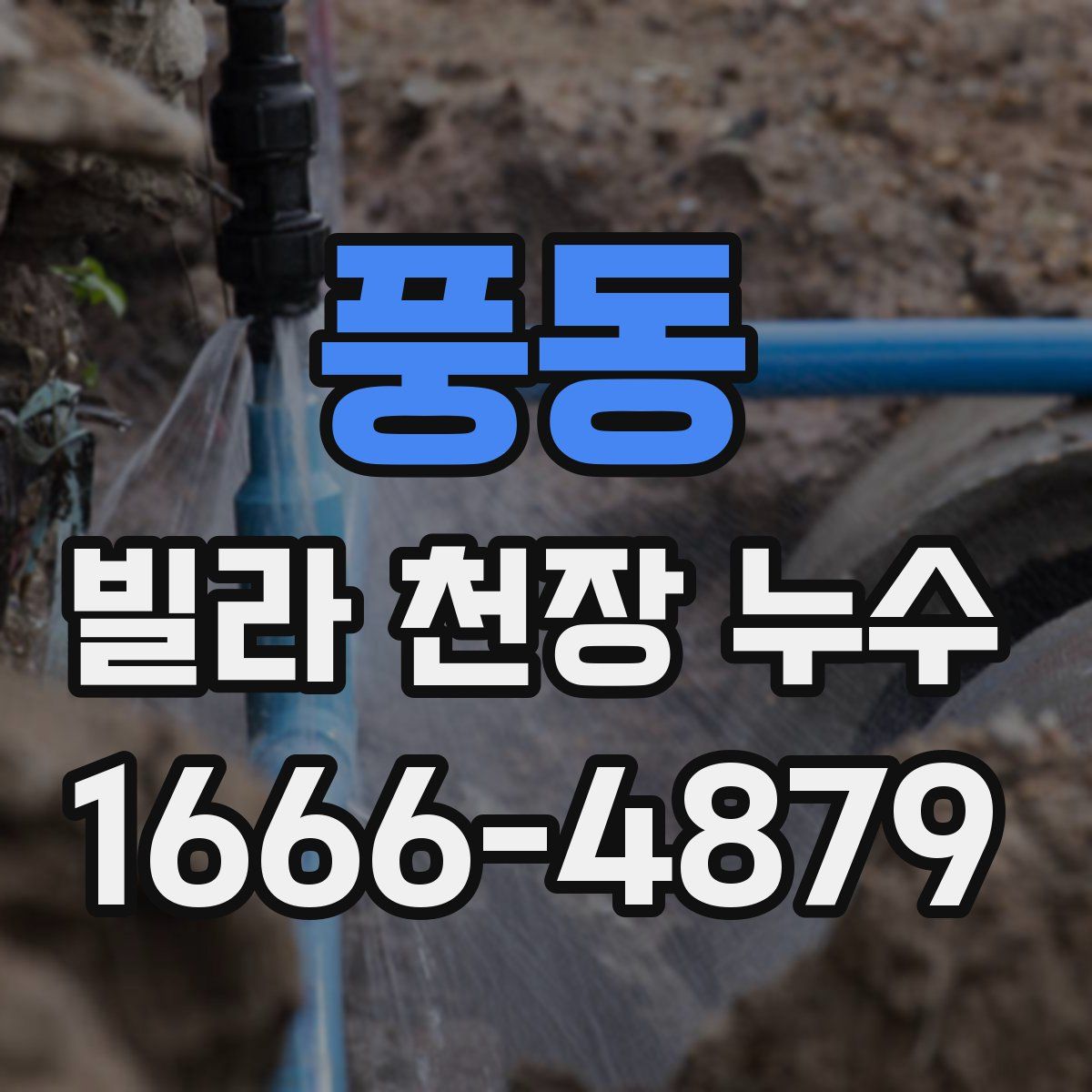 풍동 빌라 천장 누수