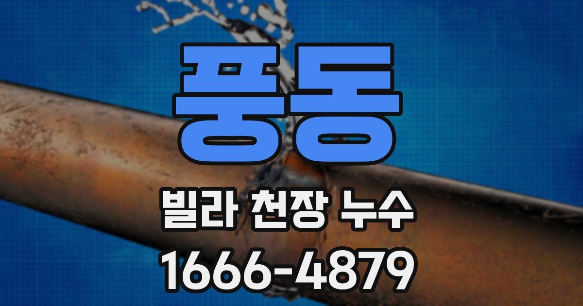 풍동 빌라 천장 누수
