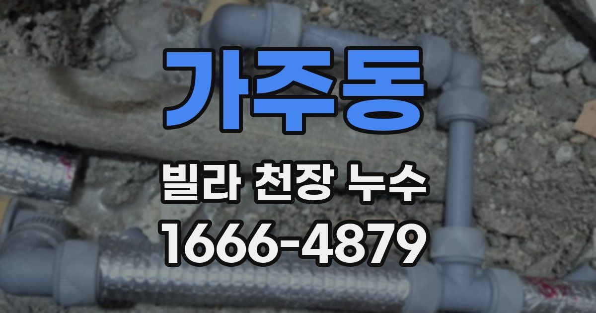 가주동 빌라 천장 누수