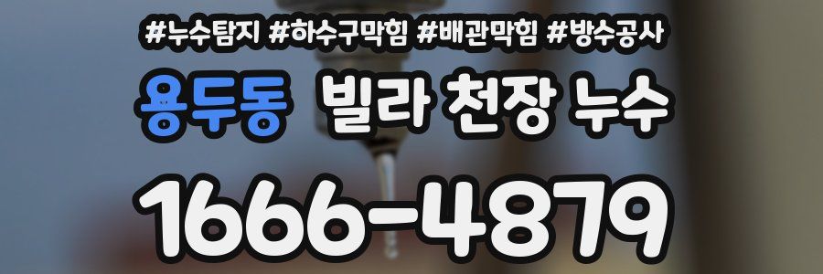 용두동 빌라 천장 누수