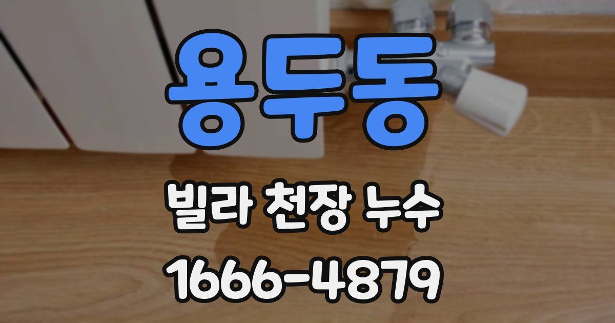 용두동 빌라 천장 누수
