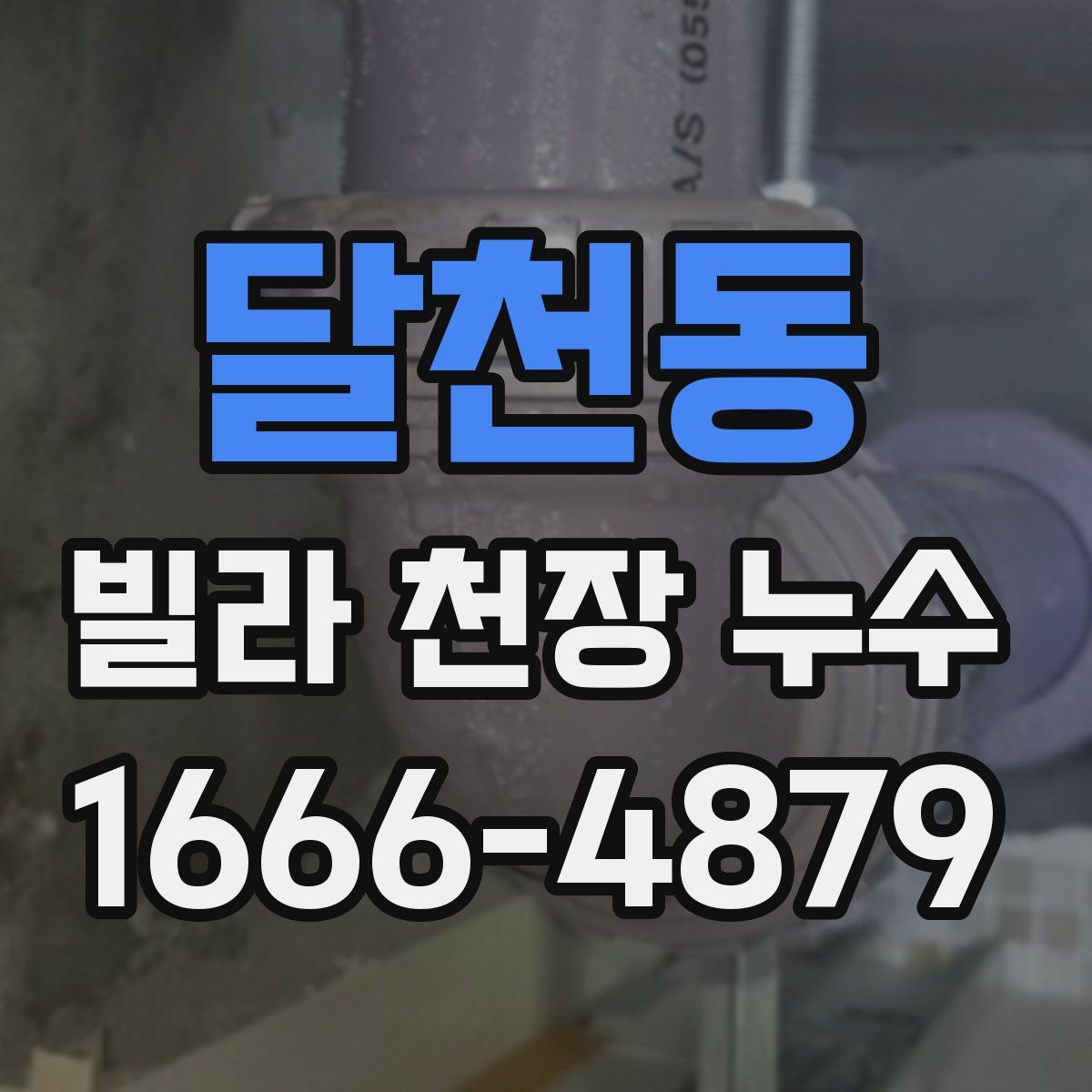 달천동 빌라 천장 누수