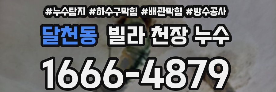 달천동 빌라 천장 누수