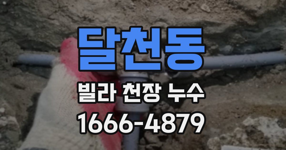 달천동 빌라 천장 누수
