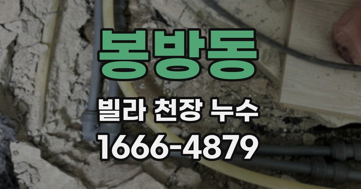 봉방동 빌라 천장 누수