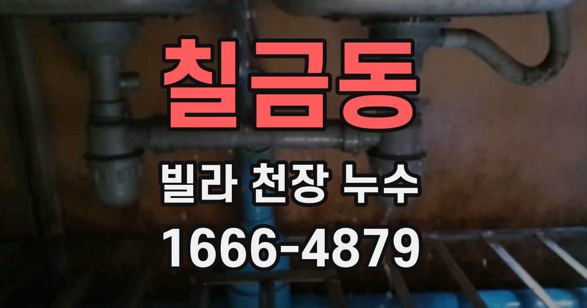 칠금동 빌라 천장 누수
