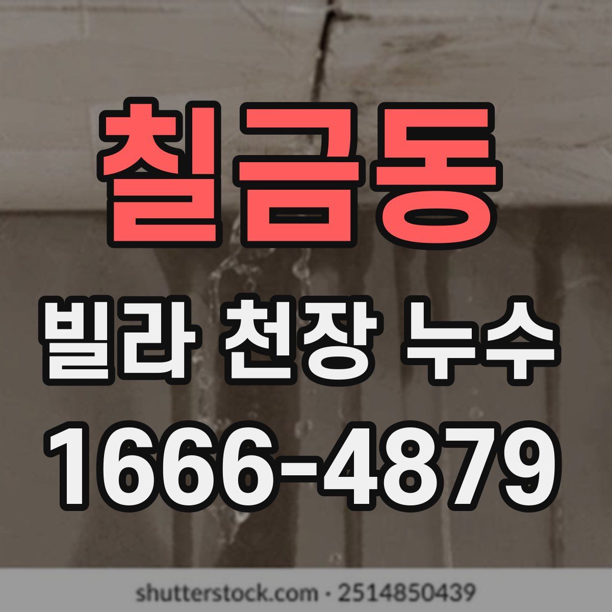 칠금동 빌라 천장 누수