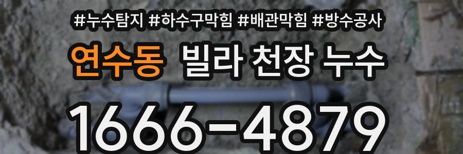 연수동 빌라 천장 누수
